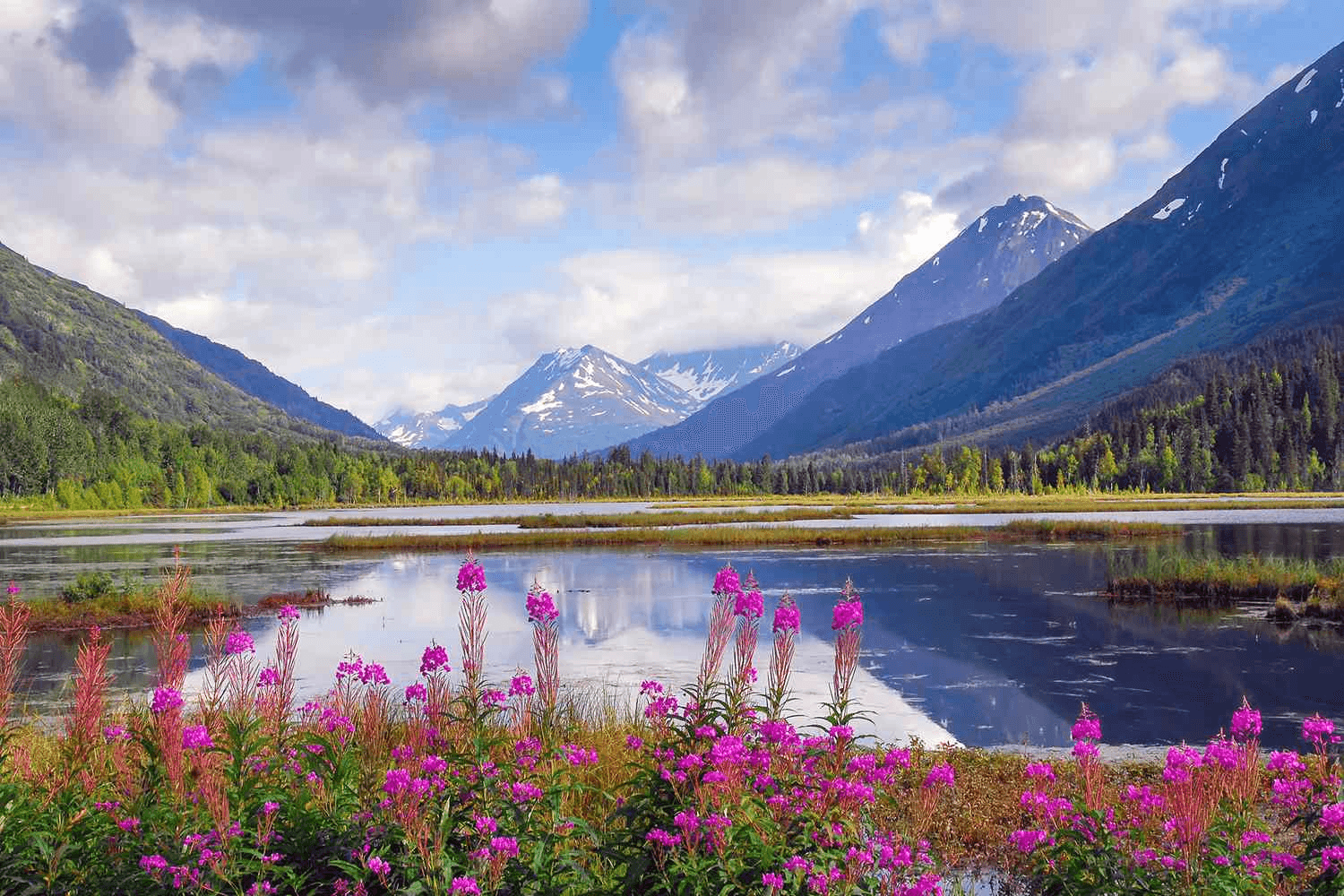 Nature Getaways