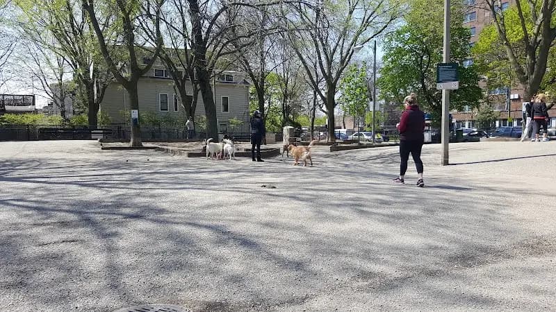 Wiggly Field Dog Park